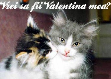 Vrei Sa Fii Valentina Mea?